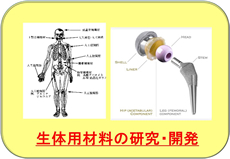 生体用材料の研究・開発